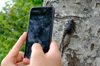 Kuzuyayla’da doğa adım adım incelendi