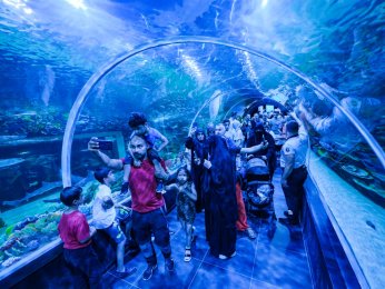 Körfez Aqua tam not aldı