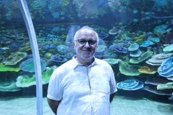 Körfez Aqua tam not aldı