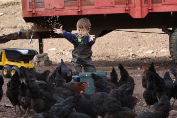 Kocaeli’de tarım geleceğe taşınıyor