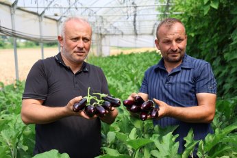 Sera desteği üretime güç kattı