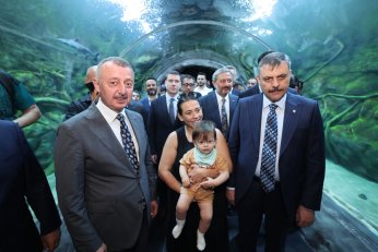 Vizyon projelere tam not