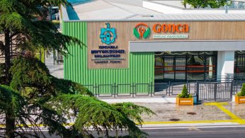 Gonca, umuda açılan kapı oluyor