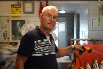 Yazın favori balıkları istavrit ve sardalya