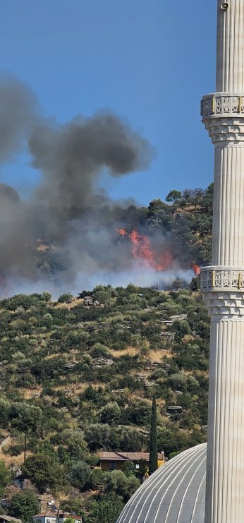 Gebze’de orman yangını başladı