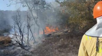 Ormana sıçrayan yangın korkuttu