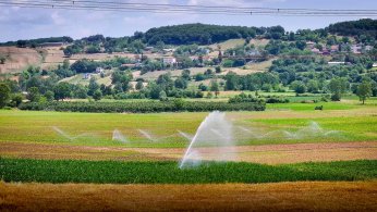 Kocaeli tarımında  çift hasat dönemi