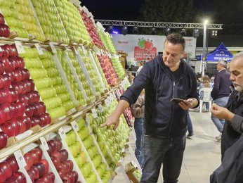 Elma Festivali’nde ödüller verildi