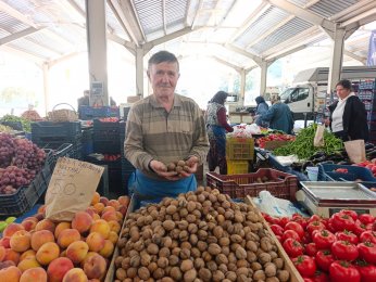 Taze ceviz tezgahta yerini aldı
