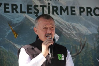 9 kızıl geyik daha doğaya salındı
