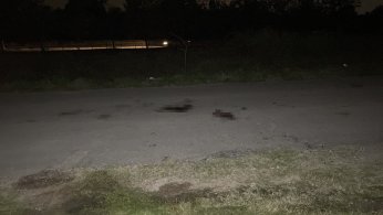 MHP’li meclis üyesi Saral, silahlı saldırı sonucu öldü
