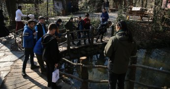 Ormanya hareketli günlerine kavuştu