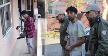 Kediye yumruk cezasız kalmadı