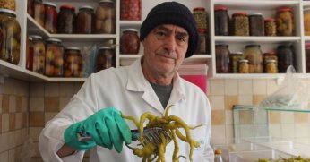 Kışın gelmesi ile turşuya rağbet arttı