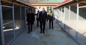 Sokak Hayvanları Rehabilitasyon Merkezi tamamlandı