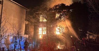 Yangında kedi ve köpeklerin telef olduğu iddialarına açıklama