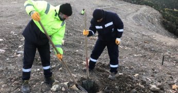 Karamürsel Dereköy’e bin ağaç fidanı dikilecek