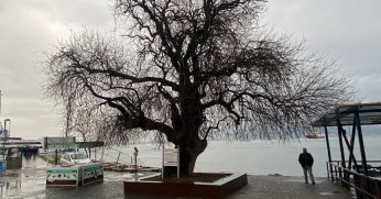 4 buçuk asırdır ayakta duruyor