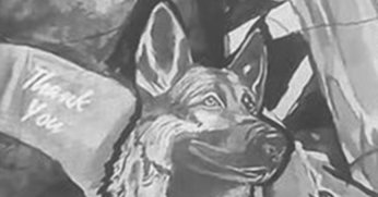 Trabzon’da tek yürek olduk 