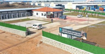 Kahraman köpek Proteo'nun adı Kocaeli'de yaşatılacak