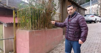 Evin önündeki türbe  merak uyandırıyor