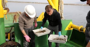 İzmit Körfezi’nde biyo çeşitliliğin tespiti