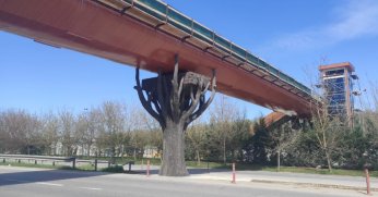 Ormanya yaya üst geçidinde sona doğru