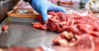 Şap hastalığı kısıtlaması kaldırıldı