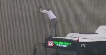 Duvarda mahsur kalan kediyi otobüs şoförü kurtardı