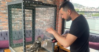 Denizde buldukları doğanı besleyip doğaya bıraktılar