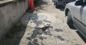 Bozulan kaldırıma düzenleme yapılmalı