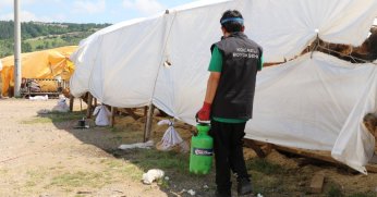 Kurban pazar yerleri ilaçlanıyor