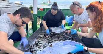 Körfez’de biyoçeşitlilik durumu tespit ediliyor