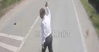 Kaplumbağanın ezilmemesi için araçları durdurdu