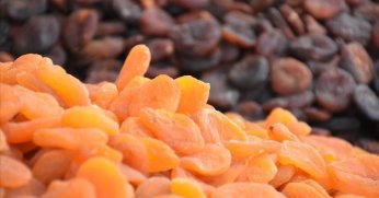 Kuru kayısıdan Malatya’ya 436 milyon dolarlık gelir