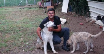 Hayatını sokak hayvanlarına adadı