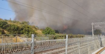 TÜBİTAK yerleşkesinde orman yangını