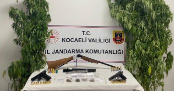 35 kök kenevir ele geçirildi