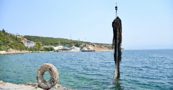 İzmit Körfezi’nden bu yıl 43 bin metrekare hayalet ağ çıkartıldı