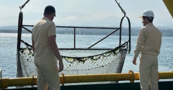 Dip çamuru temizliği biyoçeşitliliği artıracak