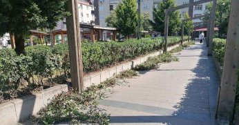 Cumhuriyet Parkı’nda uzayan otlar budandı