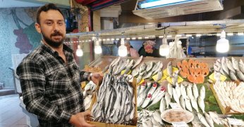 ‘Hamsi ve istavrite ilgi sürüyor’