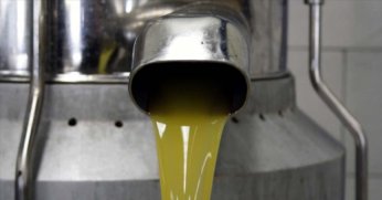 Zeytinyağının analiz metotlarında düzenleme