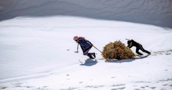 15. Ulusal Fotoğraf Yarışması sonuçlandı