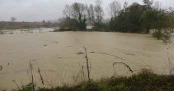 Kocaeli’de tarım arazilerini su bastı