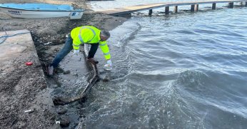 Denizde oluşan kirliliğe ilişkin inceleme başlatıldı