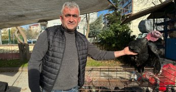 Hindiye, yılbaşı öncesi yoğun talep