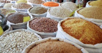 Hububat üretimindeki artışın sürmesi bekleniyor