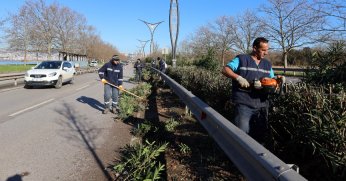 Ömer Türkçakal’daki ağaçlara kış bakımı