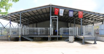 Büyükşehir mezbahası ile sağlıklı ete ulaşım